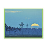 Blackwater National Wildlife Refuge Post Cards