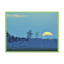 Blackwater National Wildlife Refuge Post Cards
