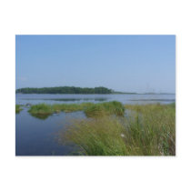 Blackwater National Wildlife Refuge Post Card