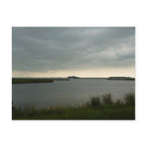Blackwater National Wildlife Refuge Postcards