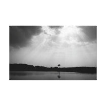 Blackwater National Wildlife Reserve Stretched Can Gallery Wrap Canvas
