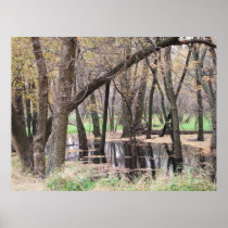 Blackwater Swampland Poster