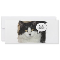 Blagojevich Kitty rack cards by SpeakYourMind Blagojevich Kitty rack cards