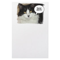 Blagojevich Kitty stationery by SpeakYourMind Blagojevich Kitty stationery