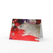 Blaize and the Baubles 2 cards
