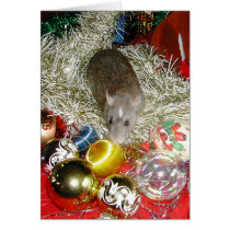 Blaize and the Baubles cards by rattycorner Blaize and the Baubles cards