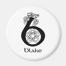 Blake Surname Fridge Magnets