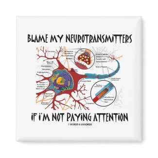 Blame My Neurotransmitters If Not Paying Attention magnet