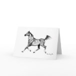 Blank Arabian Horse Greeting Card