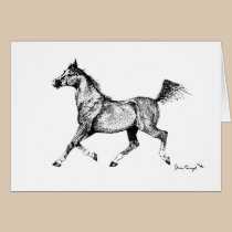 Blank Arabian Horse Greeting Card cards