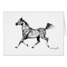 Blank Arabian Horse Greeting Card