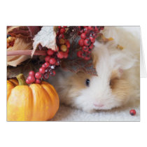 Blank Autumn Scene Guinea Pig Greeting Card cards