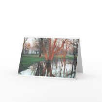 Blank Birthday cards