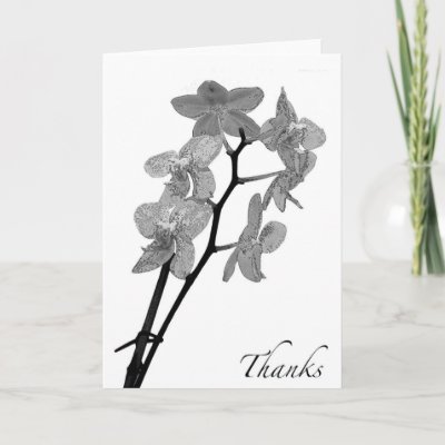 Blank Black and White Orchid Thank You Card by Hyperbole1