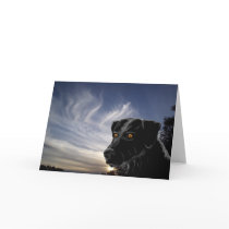 Blank Card