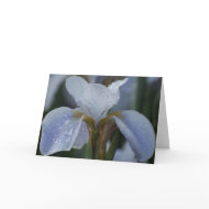 Blank Card - Lily card