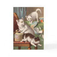 Blank card - Naughty Cat series - Cats in a jam card