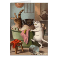 Blank card - Naughty Cat series - Cats Washday card