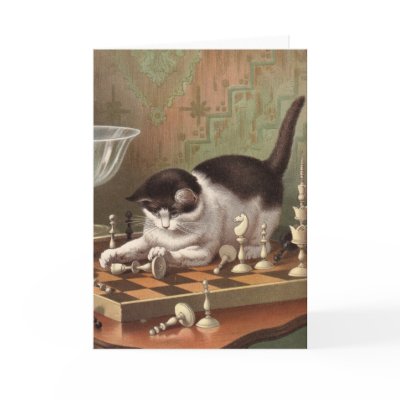 Blank card - Naughty Cat series - Chess Cat