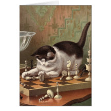 Blank card - Naughty Cat series - Chess Cat