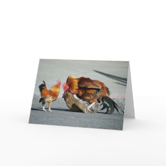 Blank Card, Rooster card
