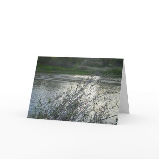 Blank Card: Salinas River in Paso Robles, 2010 card