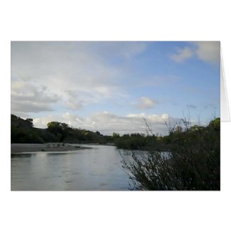 Blank Card: Salinas River in Paso Robles, 2010 card