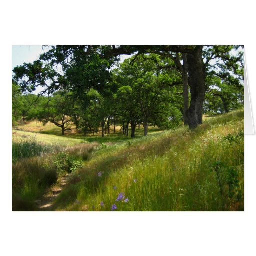 Blank Card, Scenic Card Zazzle