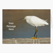 Blank Customizable Egret on the Dock Greeting Card cards