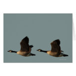 Blank Customizable Flying Geese Card