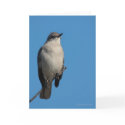 Blank Customizable Mockingbird Greeting Card card