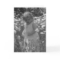 blank, customize card-  Lana