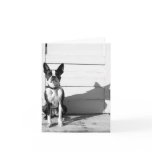 blank dog notecard