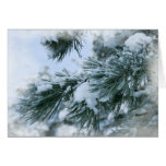 blank greeting card