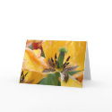 Blank Greeting Card - Tulip 2 by packetlog Blank Greeting Card - Tulip 2