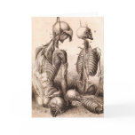 Blank Greeting Card with Antique Anatomy Etching