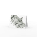 Blank Hippo notes cards