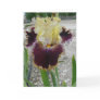 Blank Iris Card -"BATTLE OF THE BANDS"