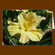 Blank Iris Card -"LEMON SORBET" cards