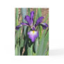 Blank Iris Card -"LINE DANCING"