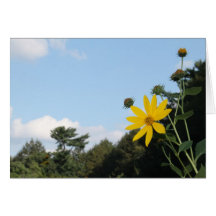 Blank Note Card of Flower