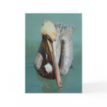 Blank Note Card - Pelican