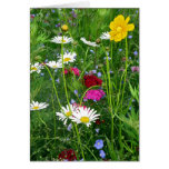Blank Note Card: Spring Wildflowers