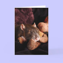 Blank Rat Card cards