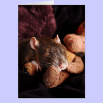 Blank Rat Card cards