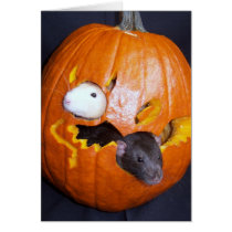 Blank Rattie Halloween Card cards