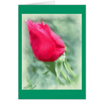 Blank Rose Card