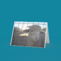 Blank Sheep note cards