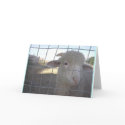 Blank Sheep note cards