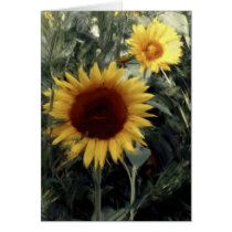 Blank Sunflower Card